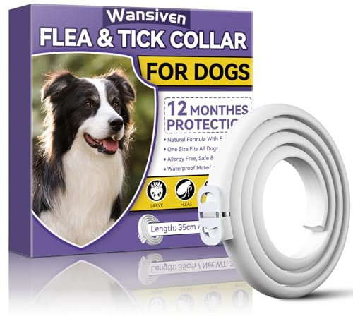 Wansiven Collier Anti Puces pour Chien, Réglable Collier Anti-Puces et Tiques pour Chiens et Imperméable, 12 Mois Collier Anti pour Chiens 65cm (W1-1p)