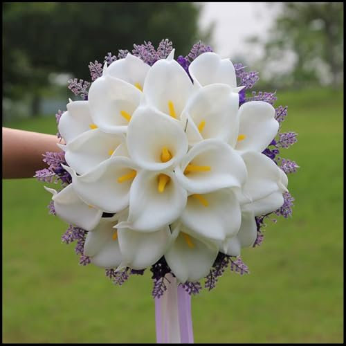 Excellent Display/Calla Lily Bulbs for Planting/Good for Containers/Wedding Flowers/Natural Organic/Greening Flower-6 Bulbs-A