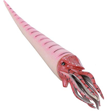 Zhangpu Simulazione Orthoceras Modello Animali Marini Ornamenti Giocattolo in Plastica Giocattolo di Simulazione Figure Animali Modello Decorazione Desktop (PL127-1526)