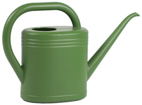 Arrosoir de 2 L pour plantes d'intérieur et d'extérieur - Tête d'arrosage à long bec - Poignée ergonomique en ABS - Outil de jardinage - Arrosoir de jardin avec tête d'arrosage