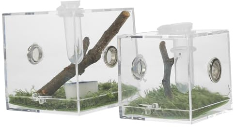 Didiseaon Boîte D’élevage Sauteur Transparente Mangeoire Intégrée en Acrylique, Lot 2 Pièces, pour Élevage D’Insectes, Utilisation Terrarium Et Animaux De Compagnie