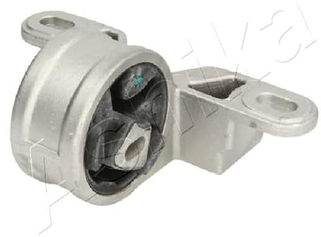 Ashika GOM-9044 - Lagerung, Motor