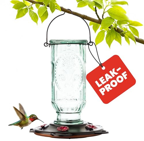 More Birds Vintage Hummingbird Feeder, Antique Glass Bottle, 5 Feeding Ports, 20-Ounce Nectar Capacity