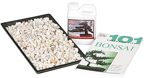 Brussel's Bonsai Starter Success Kit with 8 Humidity Tray & Deco Rocks