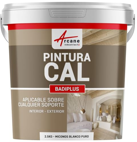 ARCANE INDUSTRIES Badigeon à la Chaux, décoration intérieure, extérieur, Maison : Badiplus - 2.5 kg (jusqu'à 12.5 m²) Mykonos Blanc Pur
