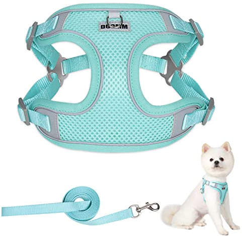 Hundegeschirr für Hunde mit Leine, Step-in Geschirr Reflektierend, Verstellbare Reflektierende Atmungsaktive Welpengeschirr für Kleine, Mittelgroße und Große Hunde, Haustiere, Katze(Minzgrün L)