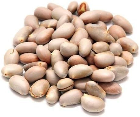 Swathi Fresh Jack Fruit Seeds Ready to Cook or Roast Traditional Indian Culinary Delight 500g