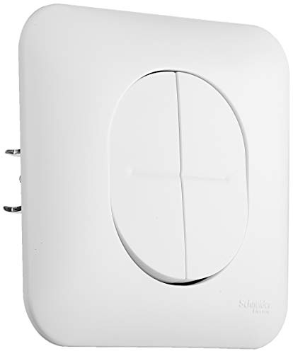 Schneider Electric Schneider Electric S260214 Double interrupteur ou va et vient 10 ampères Ovalis complet 250 V