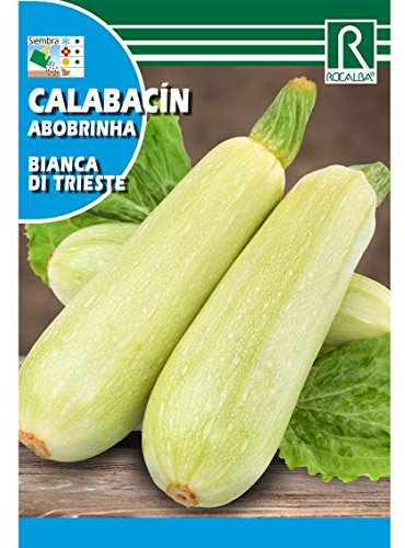 Semillas de Calabacín bianca di trieste