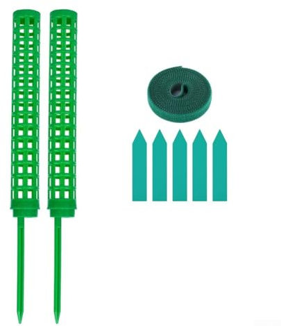 Escalada interior para soporte de plantas de 25 cm, ideal para filodendro y otras variedades trepadoras (verde)