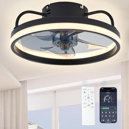 55W Ventilateur de Plafond avec Lumiere et Telecommande, Silencieux Ventilateur Plafonnier Led 6 Vitesses, Variateur d'intensité, Application Intelligente, Minuterie, Pour Salon, ,Chambre(Noir 33cm)