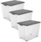 Rotho Compact 3er-Set Aufbewahrungsbox 70l mit Deckel und Rollen