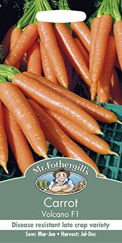 Mr Fothergill’s Carrot Volcano F1 Vegetable Seeds, Orange