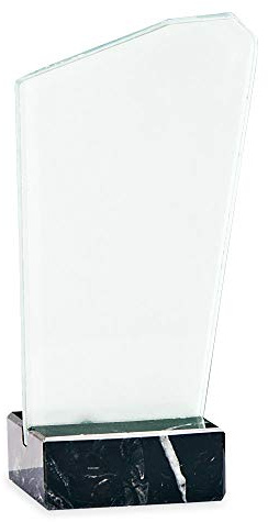 Trofeos Martínez - Trofeo de metacrilato Impreso a Color Personalizable con Base mármol. (19cm)