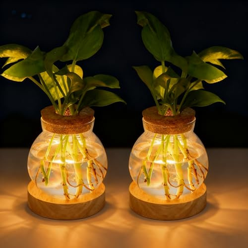 Everkeen Beleuchtete Vase Glas LED Leuchtende Blumenvase Plant Propagation Station mit Holz Basis 5 Stufen Dimmbare LED-Beleuchtung Hydroponik Pflanzen Vermehrungsstation für Wohn Büro Deko, 2 Stück