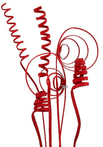 Cane Sortiment mini rot 75 St – Deko Zweige Weihnachtsschmuck Trauerkranz, 75 Stück