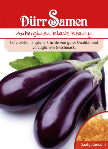 Dürr Samen 0553 Aubergine Black Beauty (Auberginensamen)