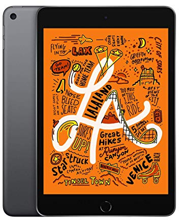 Apple iPad Mini (Wi-FI,) - Espace Gris (modèle Le Plus récent)