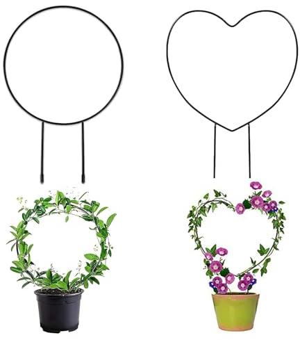 Rankhilfe Zimmerpflanzen Rankgitter Metall, 2 Stück Garten Pflanzenhalter,Garten Pflanzenstütze,Herz/Runde Form für Kletterblume Gemüse Rose Rattan