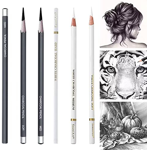 Skizzieren Highlight Pen,Weiß Kohle Bleistift,Kohlestifte Zum Zeichnen, Professionell Zeichnen Kohlestift,Weiß Bleistift Set,Ungiftig Zeichenstifte Werkzeuge für Fine Art Supplies,Weich/Mittel/Hart