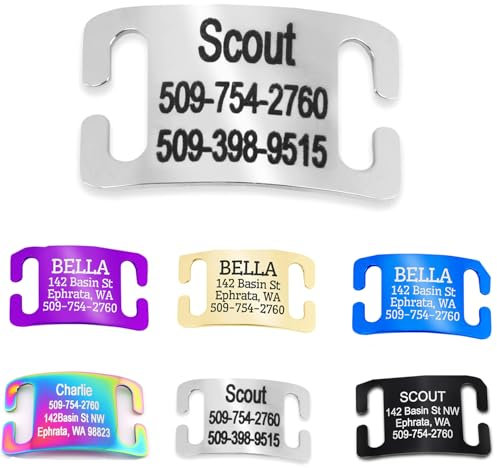 Aufschiebbare Haustier-ID-Tags, individuell gravierte Hunde- und Katzenhalsband-Tags, langlebige Boomerang-Tags aus Edelstahl, geräuschlos, individuelle Hunde-ID-Tags mit Textgravur (Silber)
