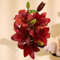 Bulbi di giglio perenni，Lilium bulbi giganti，Pianta di giglio，Crescita rapida，Facile da piantare e mantenere，Crea un giardino facilmente-2 bulbi-A