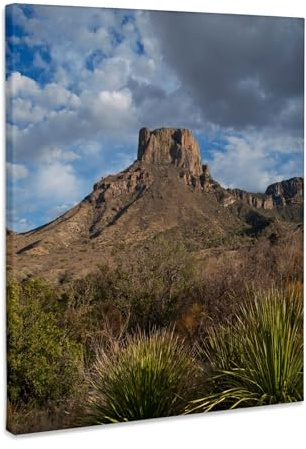 3dRose Casa Grande Peak, Chisos Basin, Big Bend National Park, Texas, USA. Museum Grade Canvas Wrap 8x10