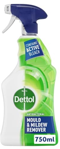 Dettol Antibacterial Mould & Mildew Remover Spray 750ml