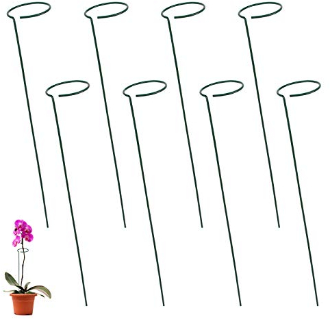 Jubaopen 8 Pcs Supporto per Piante Stelo Singolo in Metallo Gabbia Anello Metallo per Piante Fiori da Giardino Bloccato Palo per Piante a Stelo Singolo Verde -40 * 6.3cm