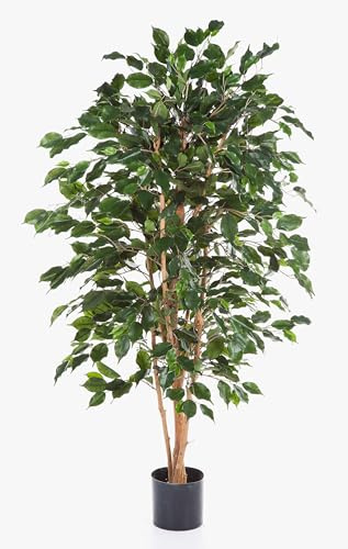 artplants.de False Ficus Benjamina THIAGO, natural stems, flame retardant, green, 180 cm - Artificial green plant