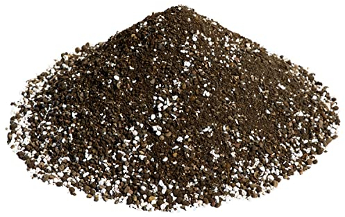 Kakteenerde Trichocereus pachanoi, San Pedro 5 Liter