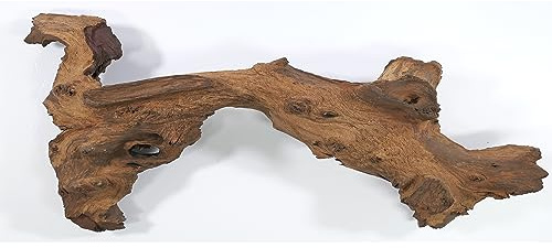 Mopani rot storlek XL // äkta trärot akvariedekoration räkor prydnadsfiskar hård scape 40 cm – 50 cm (mangrov savanna) aquascaping, terrarium, levande dekoration