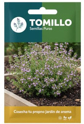 Semillas de Tomillo para Cultivo Doméstico – Planta Aromática Mediterránea DECOALIVE