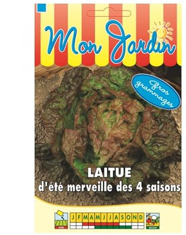 Sachet de graines de Laitue d'été Merveille des 4 saisons GROS GRAMMAGE - 12 g - LES GRAINES BOCQUET