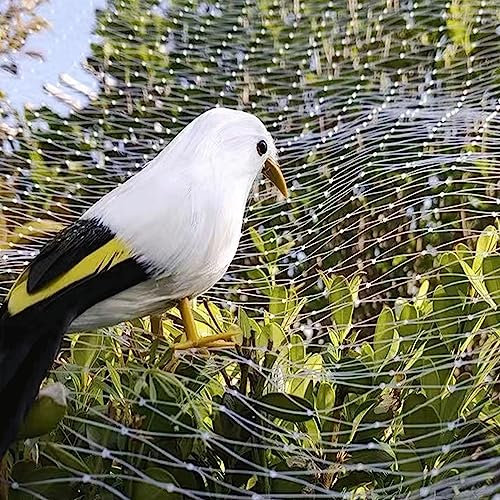 Filet Anti-oiseaux en Maille de Nylon, Filet de Protection pour Jardin, Bassins, Fruits et Légumes, Filet Anti Pigeon Transparent pour Balcon, Protéger Plantes des Dommages(Size:5m x 8m)
