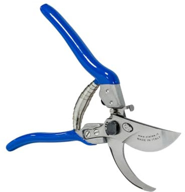 PATERLINI Forbici Potatura Professionali - Cesoie da Giardinaggio, Made in Italy - Potare Facile, Forbice da Frutteto Affilate per Innesto e Tagliare Rami, Attrezzi Giardinaggio (Master Big)
