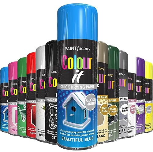 AlezyB - 1 x Beautiful Blue All Purpose Aerosol Spray Paint 250ml. Excellent Coverage, Quick & Fast Drying for interior & exterior Multipurpose Spray for Metal | Plastic | Wood | Glass.