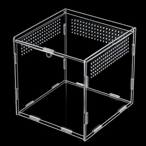 Stick Insect Enclosure, 10x10x10cm Transparent Reptile Terrarium, Jumping Spider Enclosure, Tarantula Enclosure, Praying Mantis Enclosure for Insect Observation, Pet Transport, School Projects