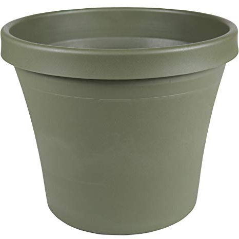 Bloem Terra Pot Planter 8 Living Green