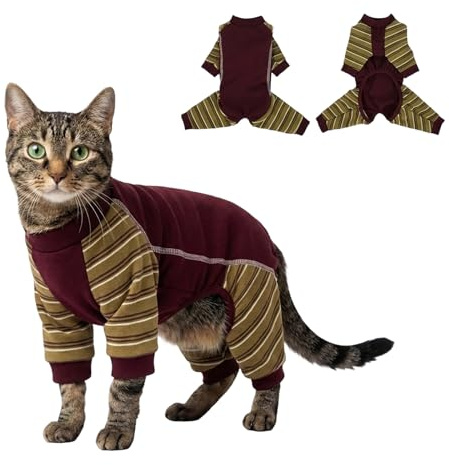 Hjyokuso Kattbody efter Op