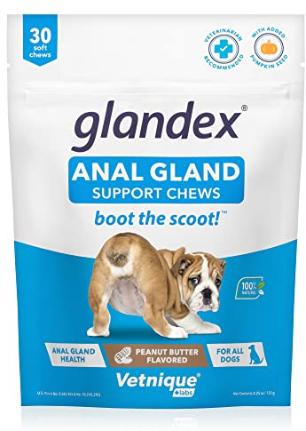 Glandex Fibre Supplements Dog Soft Chews with Pumpkin for Dogs, Digestive Enzyme & Probiotic - Vet Recommended to Boot the Scoot (30ct Chew)