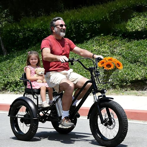 Dfdieratve Tu Compañero Eléctrico para Cada Día - Triciclo a 3 Ruedas, 500W, 30km sin Recargar, Libertad para Viajar, Trabajar o Pasear con Seguridad
