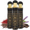 Absolute Oud - Arabian Air Freshener - Pack of 3 x 300ml Odour Eliminator Aerosol Spray - Long Lasting Scent for Home and Car - Oud, Blossom & Floral Fresh