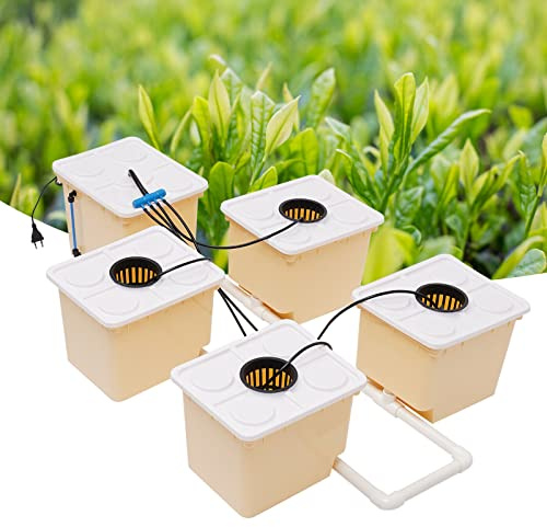 HarBin-Star Deep Water Culture Hydroponic, Hydroponiskt växtsystem Inomhus hydroponiskt odlingssystem jordlös odling hydroponisk hydroponisk odlingssystem kit 5 hinksats