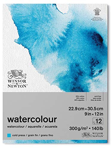 Winsor & Newton 6667002 Classic Aquarellpapier im Block - 12 Blatt 22,9 x 30,5cm , 300g/m²,geleimt, kaltgepresstes, leicht texturiertes weißes Papier in archivierbarer Qualität, gilbbeständig