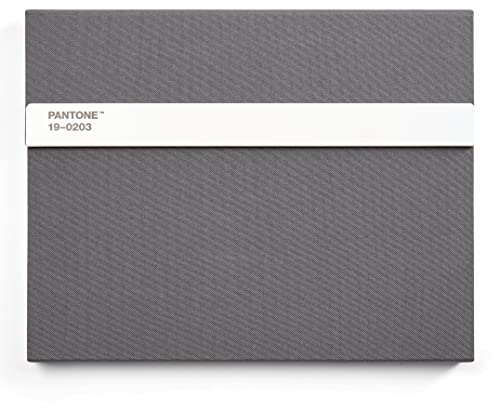 Pantone Notizbuch liniert, mit Stift und Lineal, 160 Seiten, Außenbemaßung LxBxT 240 x 190 x 20 mm, Grey 19-0203