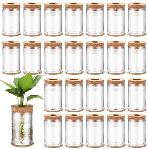 Baderke 24 Packs Plastic Desktop Plant Terrariums Propagation Planter Tabletop Planting Vase with Lid and Cork Plant Coasters for Growing Hydroponic Home Office Table Decoration(Classic Style)