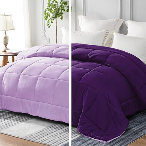 Whale Flotilla Couette 200 x 200 cm, 300 GSM en Microfibre, Douce et Respirante pour lit 2 Personnes, Couette Matelassée pour Les 4 Saisons, Violet