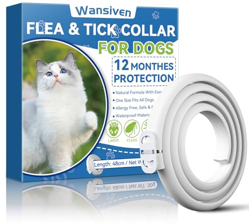 Wansiven Collar antipulgas para Gatos, 12 Meses de protección contra pulgas, 48 ​​cm, Ajustable, Impermeable, antipulgas y garrapatas, Ideal para Gatitos, Gatos medianos y Grandes