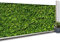 IDMarket - Sichtschutz, blickdicht, 1 x 10 m, bedruckt, Laub, 160 g/m²